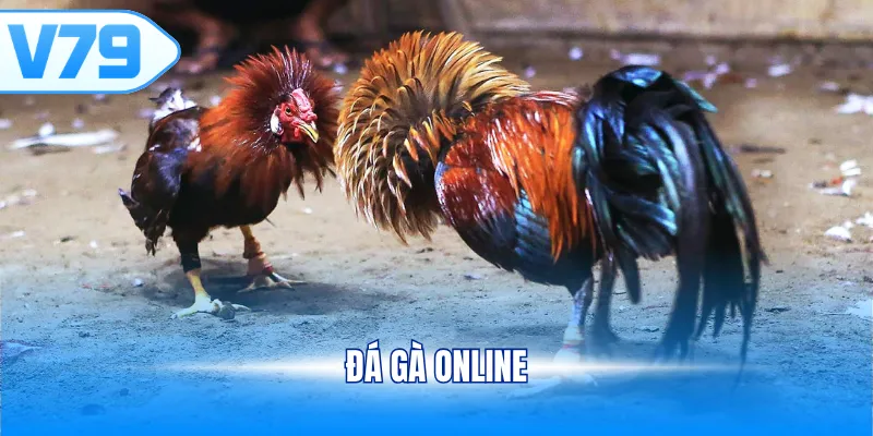 Đá gà online